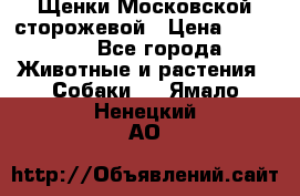 Щенки Московской сторожевой › Цена ­ 35 000 - Все города Животные и растения » Собаки   . Ямало-Ненецкий АО